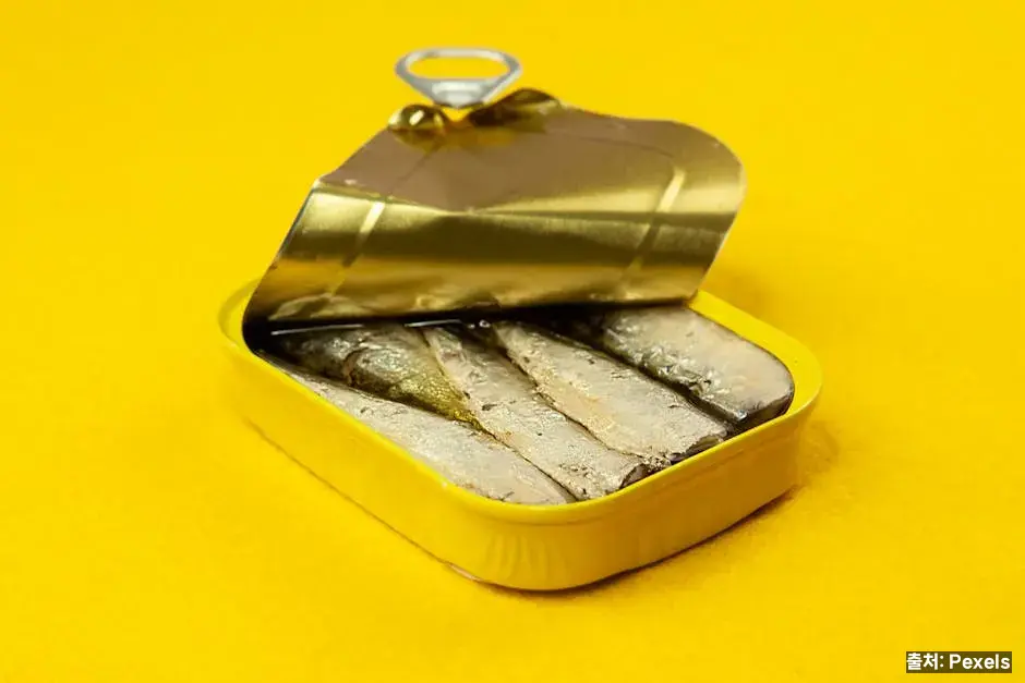 고등어가 "국민 생선"이 된 이유 관련 이미지