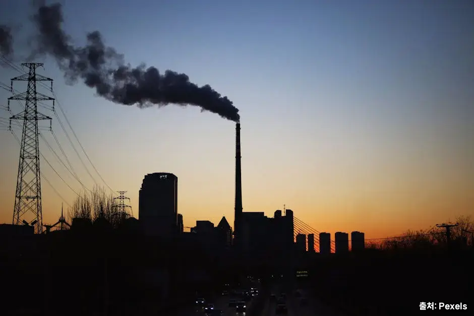 미세먼지가 몸에 미치는 영향 관련 이미지