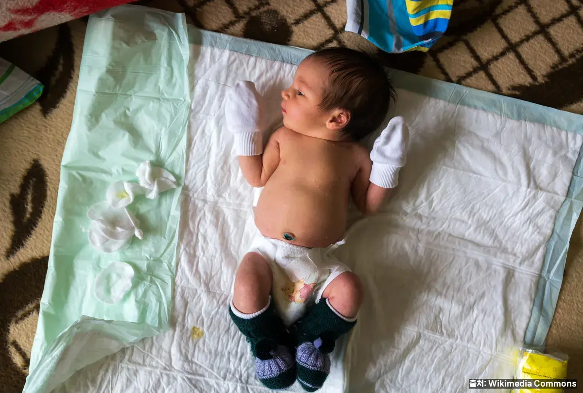 신생아 케어 — 첫 한 달의 핵심