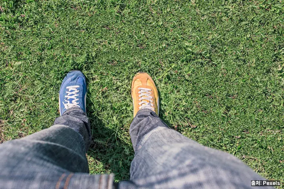 세 차의 공통점과 차이 관련 이미지