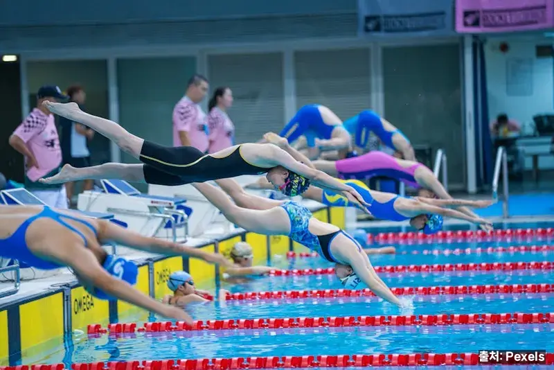 초보 수영 준비물 필수 vs 선택 비교표 관련 이미지