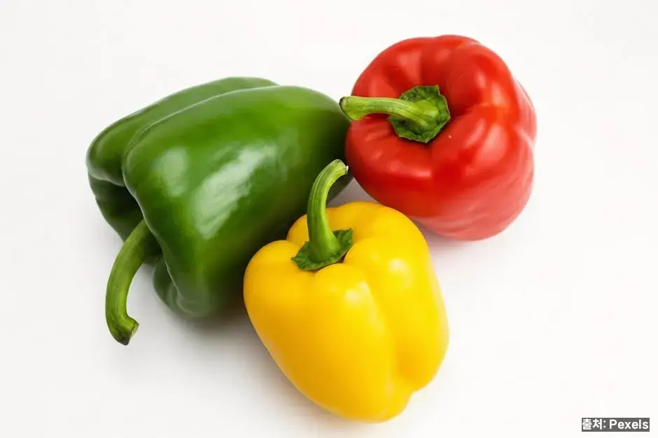 파프리카가 "가성비 슈퍼푸드"로 불리는 이유 관련 이미지