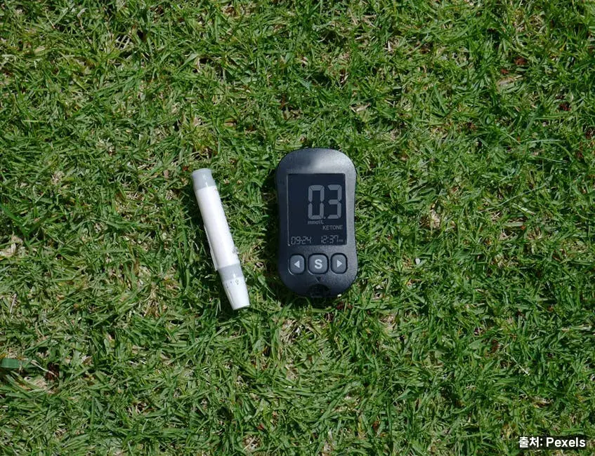 임신성 당뇨란 관련 이미지