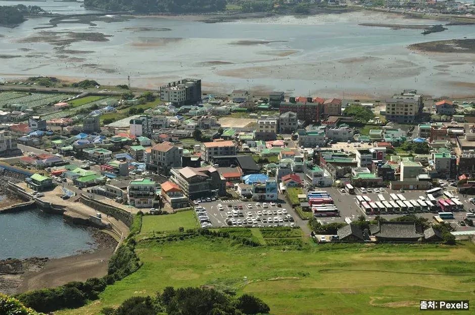 기초연금이란 관련 이미지