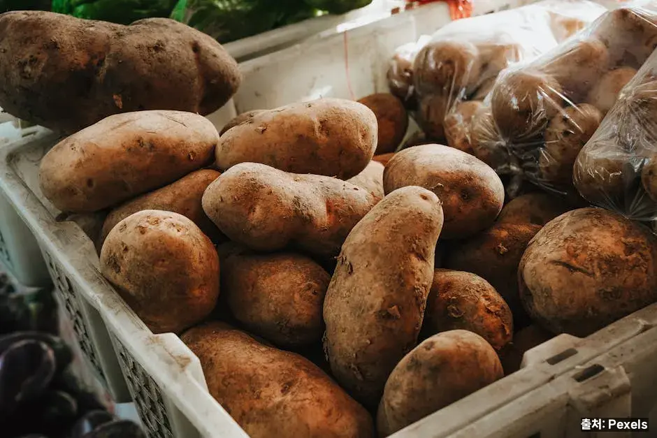 감자, 탄수화물 이상의 식품 관련 이미지