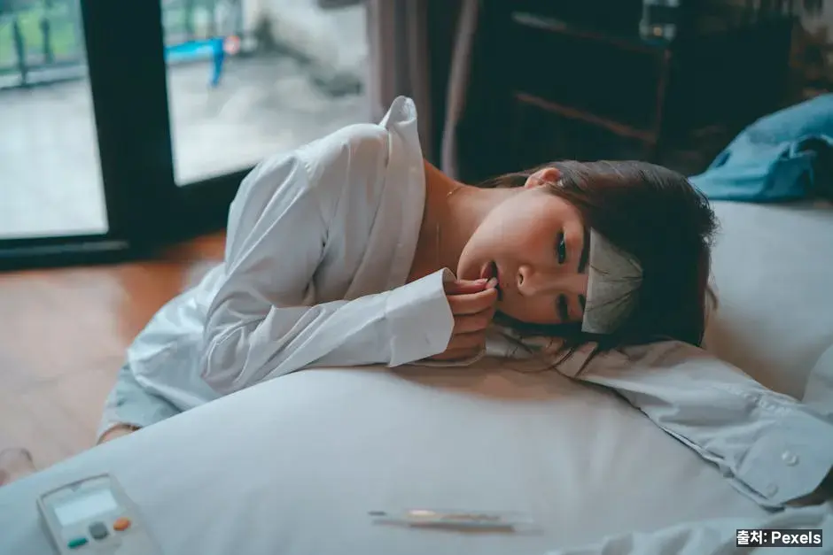 왜 장 건강이 온몸을 좌우하는가 관련 이미지