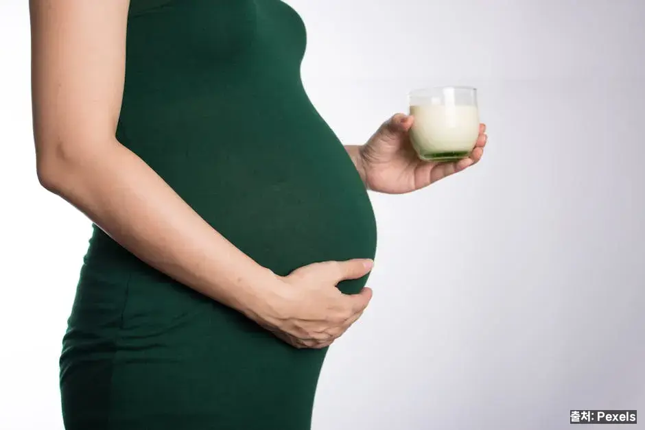 왜 임산부에게 철분이 중요한가 관련 이미지