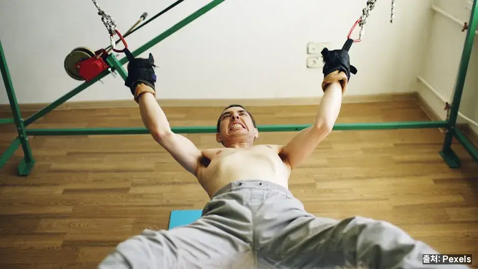 단백질 품질과 근력 관련 이미지