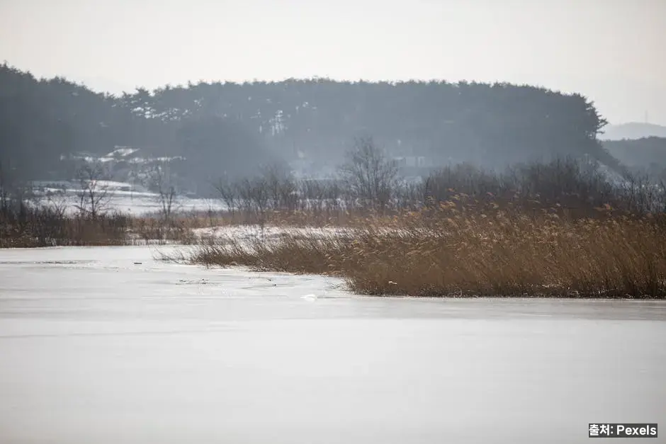 휴식·아이싱 관련 이미지