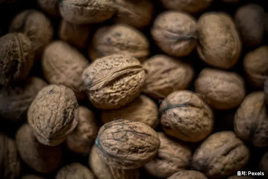오메가3와 필수지방산, 어느 견과가 가장 강할까 관련 이미지