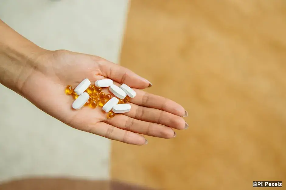 심혈관·콜레스테롤 개선 관련 이미지