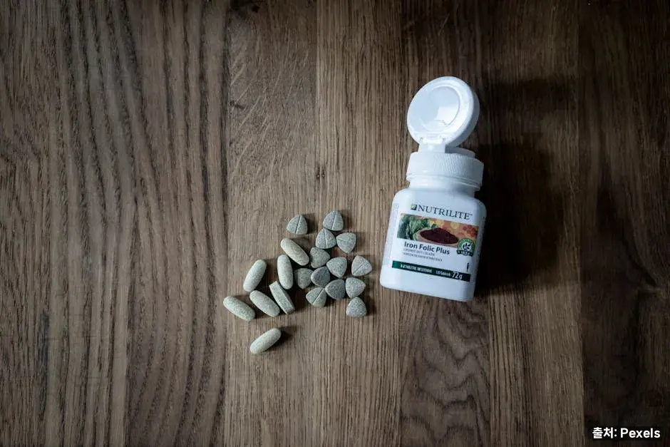 빈혈 예방과 철분·엽산 관련 이미지