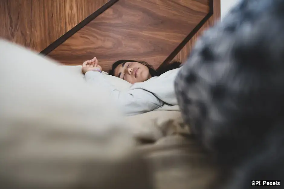 아침 햇빛과 수면 리듬 재정비 관련 이미지