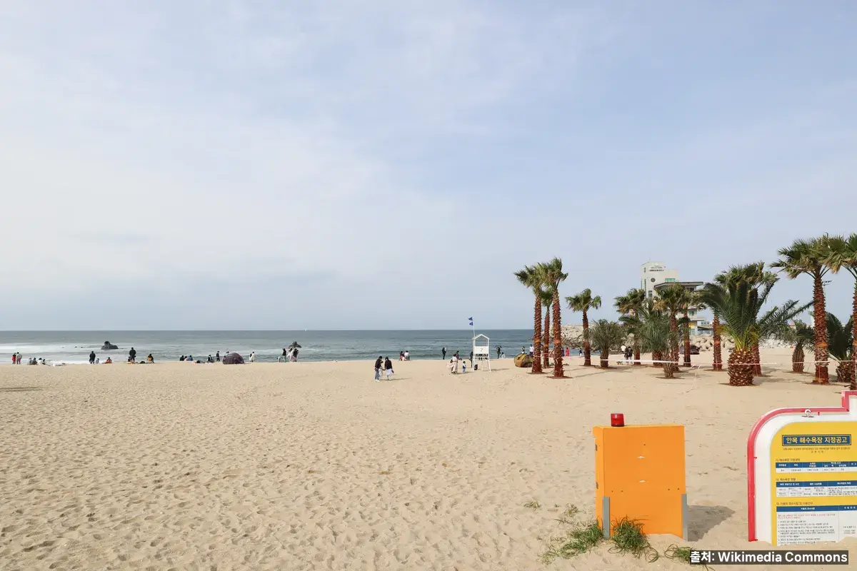 강릉 안목해변 커피거리