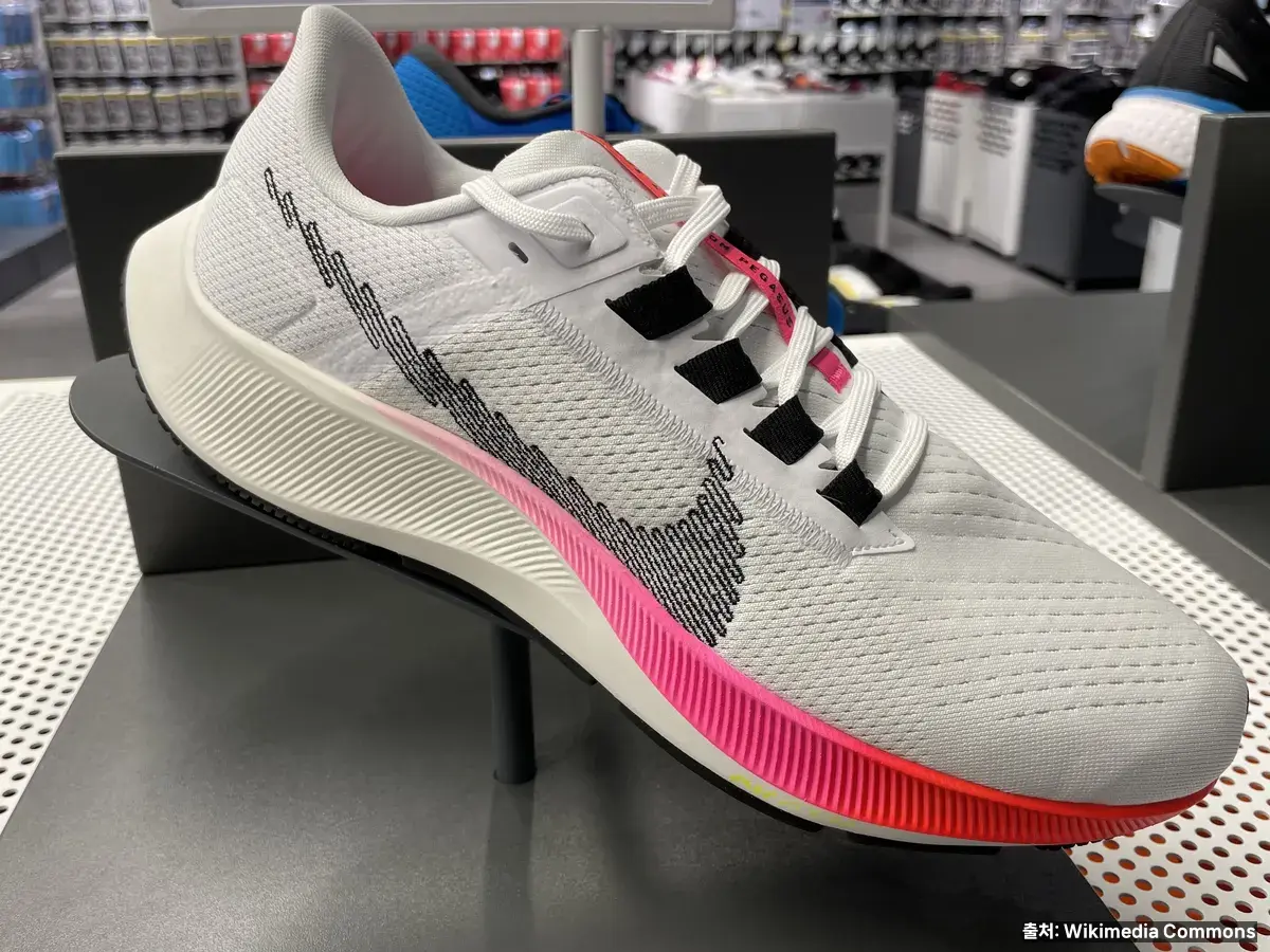 나이키 페가수스 시리즈