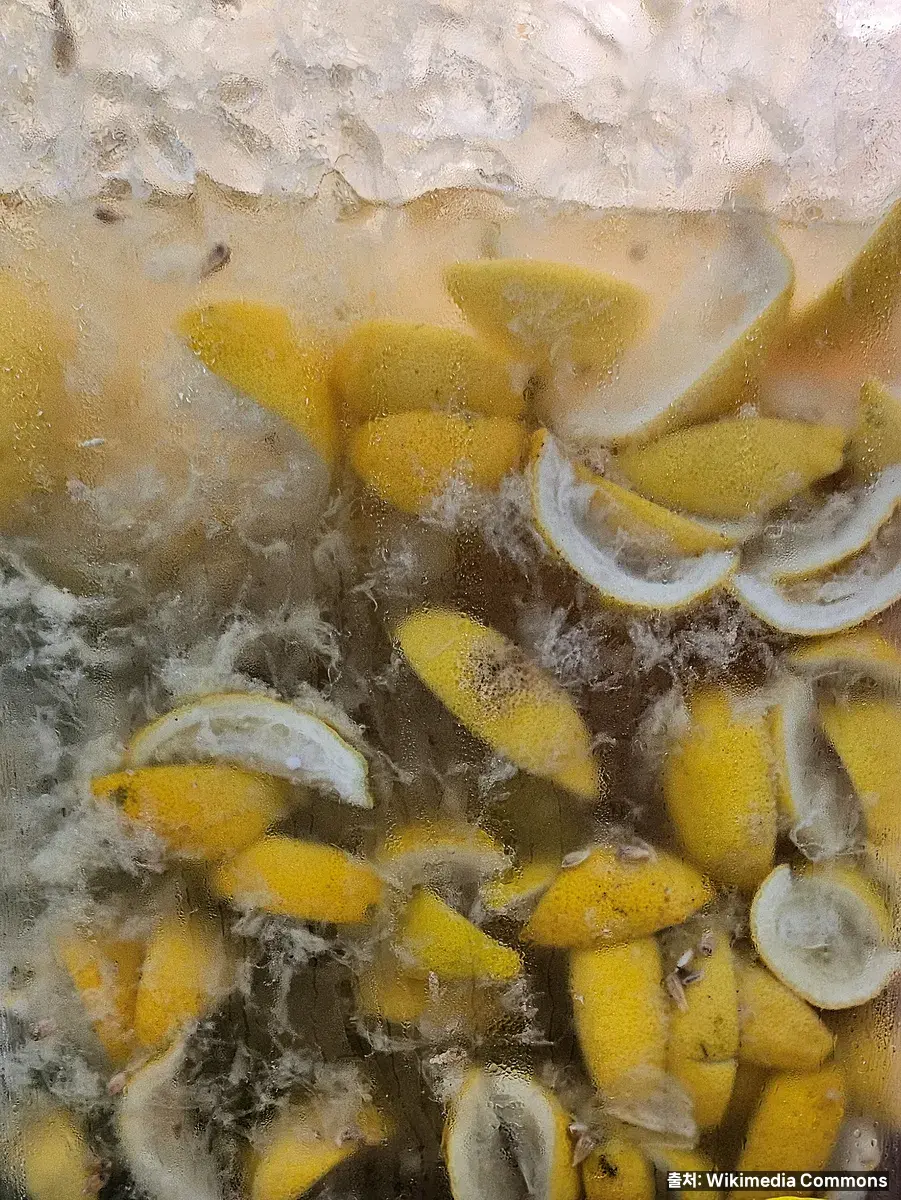 신선한 레몬즙 — 비타민C와 구연산이 핵심