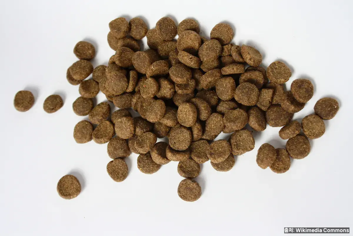 건사료 키블 — 주원료·단백질 함량이 핵심