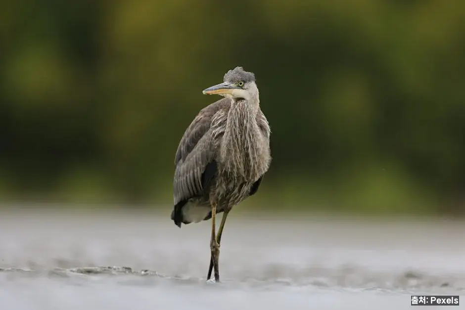 책가방·필통·학용품 — 1학년에게 잘 맞는 제품 고르기 관련 이미지