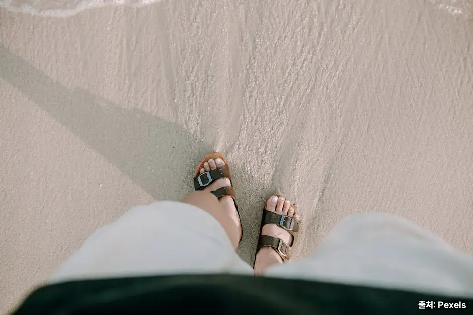 다이어트·포만감 관점 관련 이미지