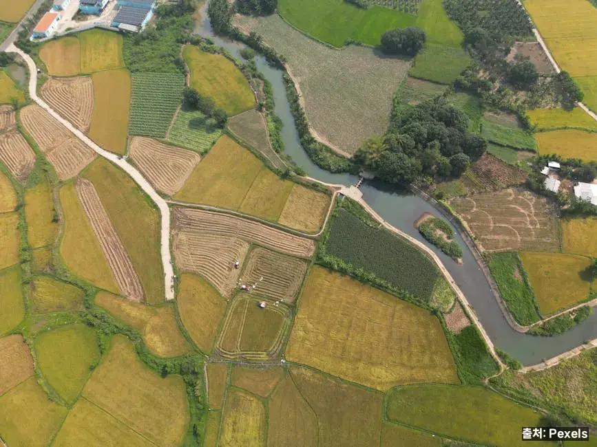 단백질·다이어트 관점 관련 이미지