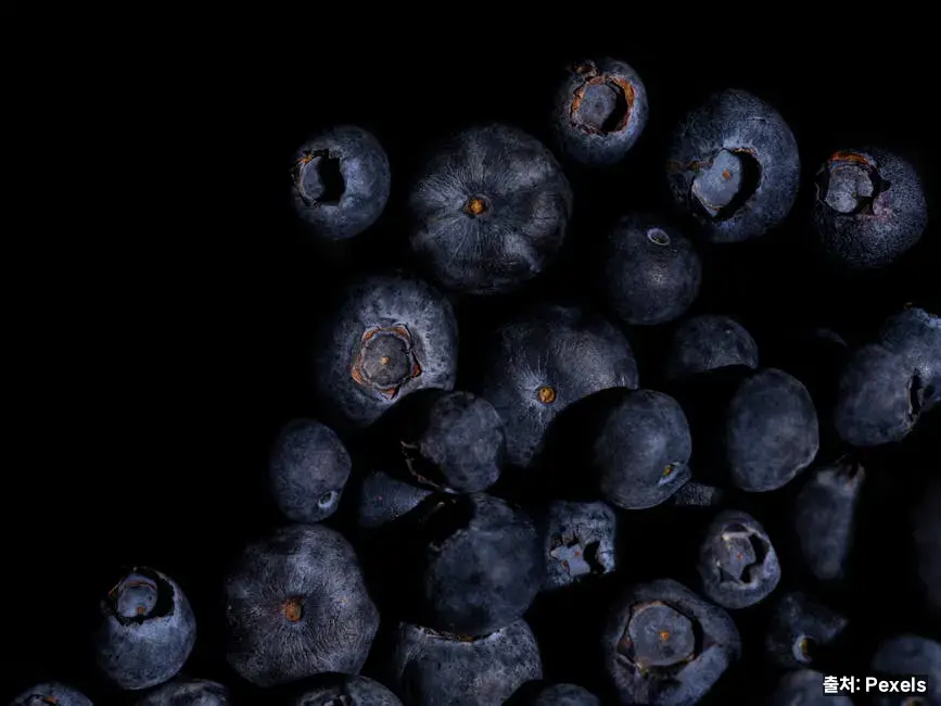 블루베리 – 눈·뇌 건강의 대표 관련 이미지