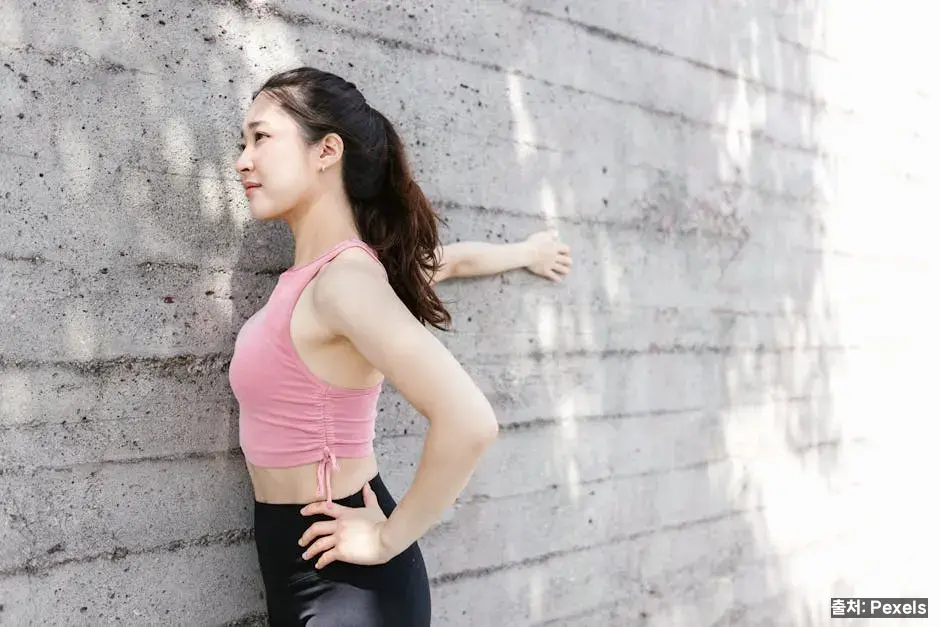 1시간 자유수영 루틴 — 제대로 운동하고 싶을 때 관련 이미지