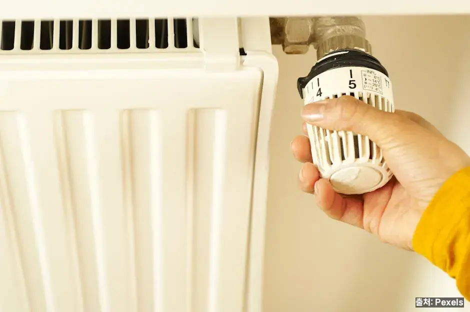 수분·이뇨·체온 조절 관련 이미지