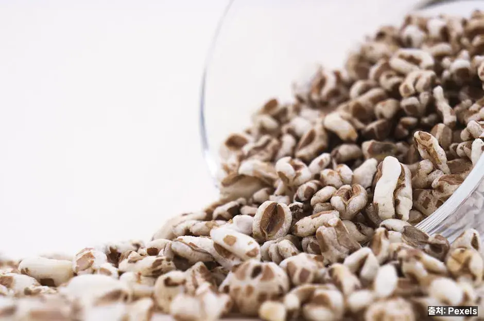 귀리·현미·잡곡 관련 이미지