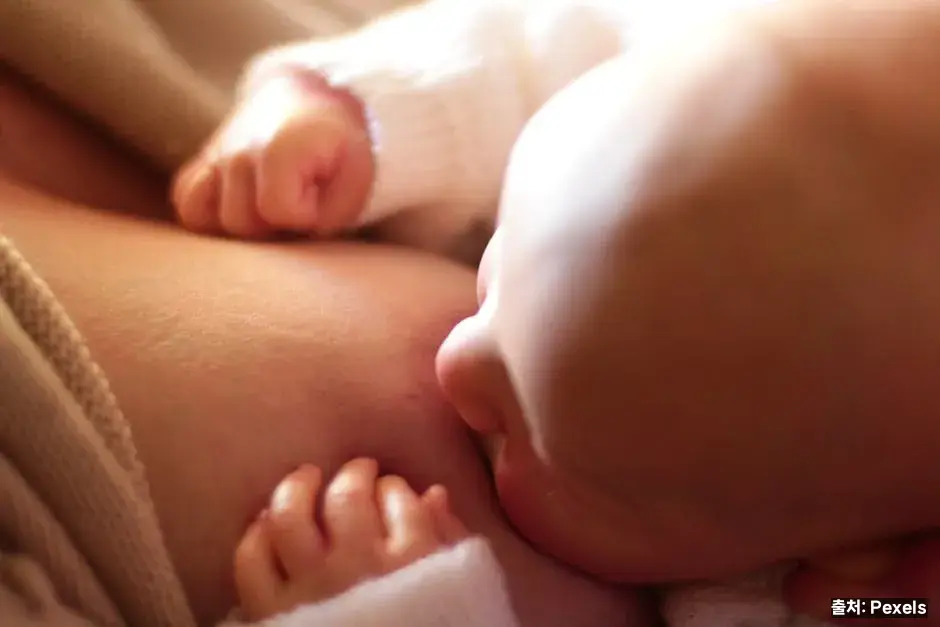 모유 수유 간격 관련 이미지