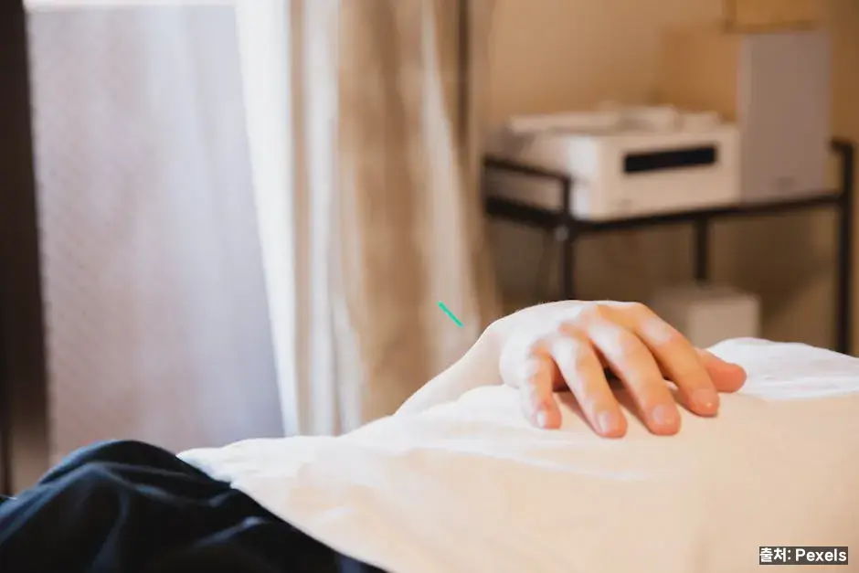 나이별 편식 원인과 접근 관련 이미지