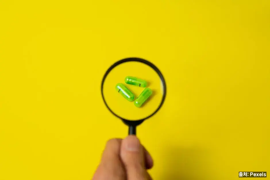 리코펜과 항산화 효능 관련 이미지