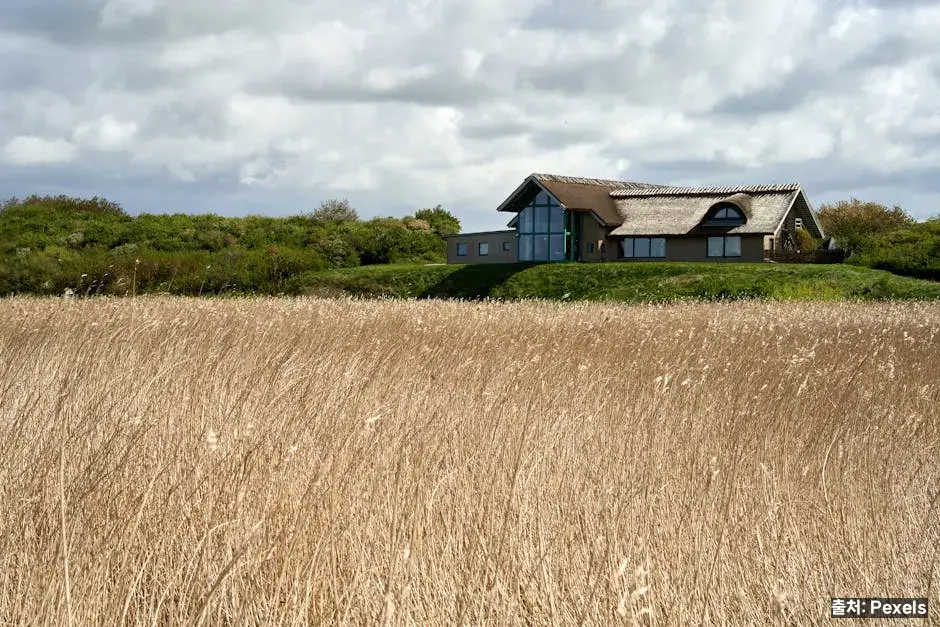 지자체 출산장려금 관련 이미지