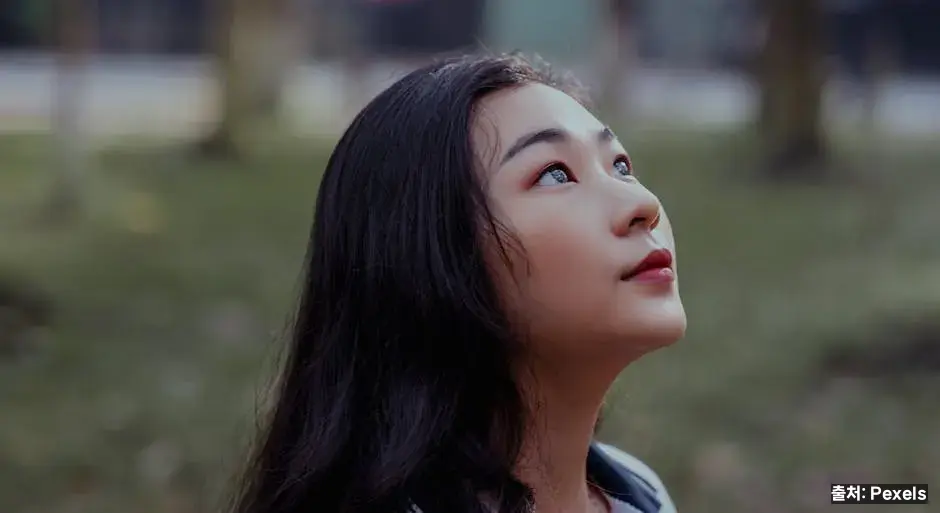 빈혈·임산부·중년 관점 관련 이미지