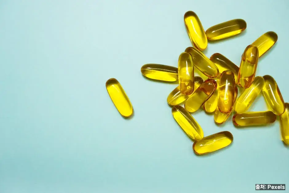 등푸른 생선과 오메가3 관련 이미지