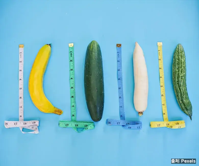 다이어트·포만감 비교 관련 이미지