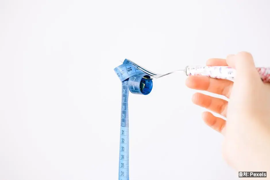 다이어트 관점: 포만감과 유연성 관련 이미지