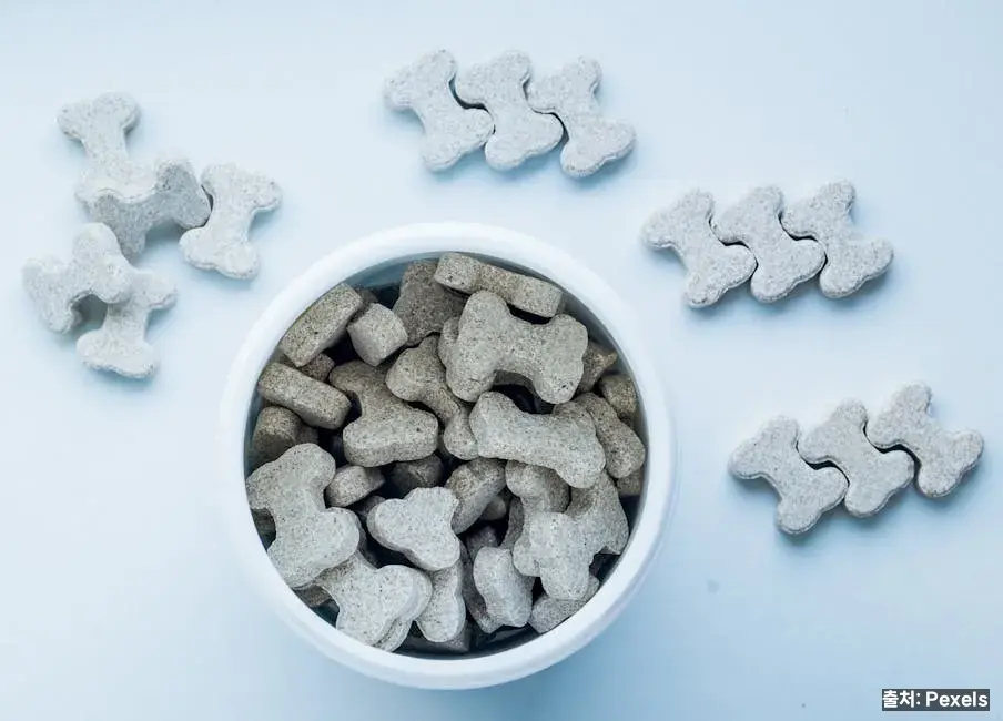 뼈 건강과 비타민K 관련 이미지