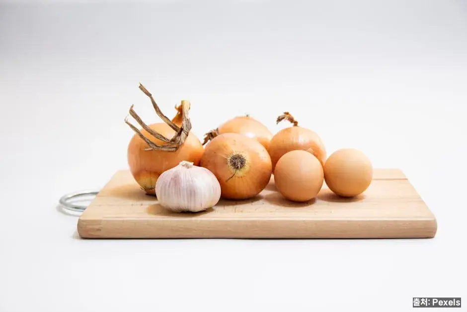 양파·마늘 – 항산화·항염 관련 이미지