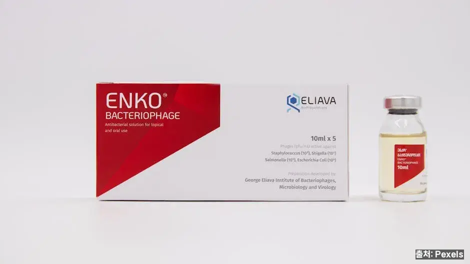 보이차 – 후발효·풍부한 프로바이오틱 관련 이미지