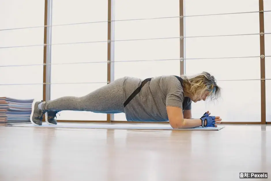 사이드·리버스 플랭크 변형 관련 이미지