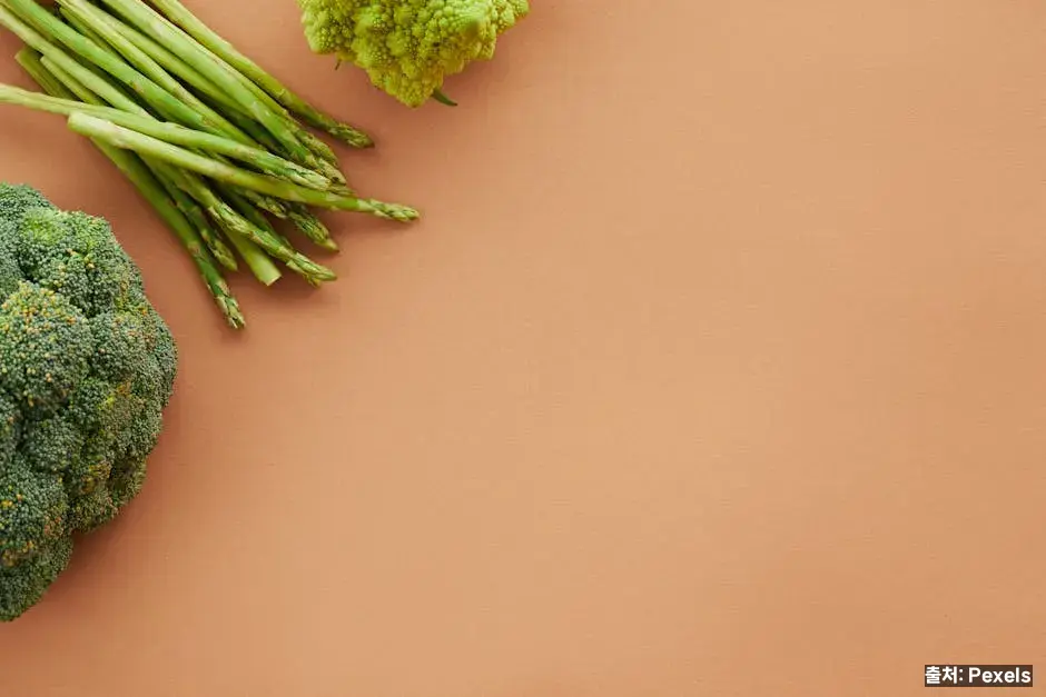 잎채소·브로콜리·베리류 관련 이미지