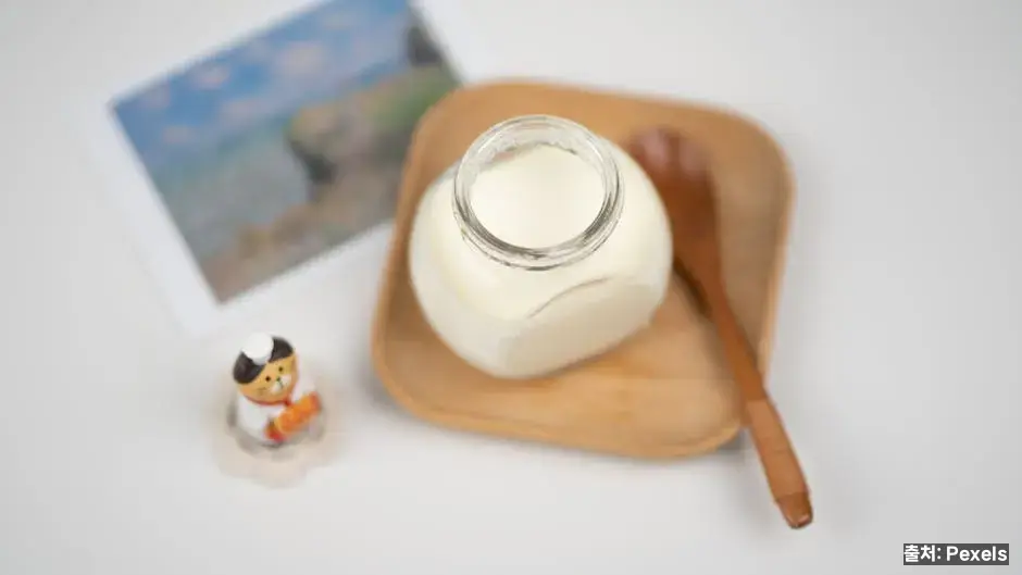 프로바이오틱스(요거트·김치) 관련 이미지