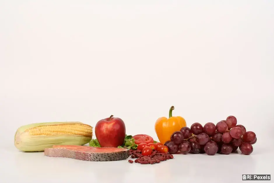 식이섬유·수분 관련 이미지