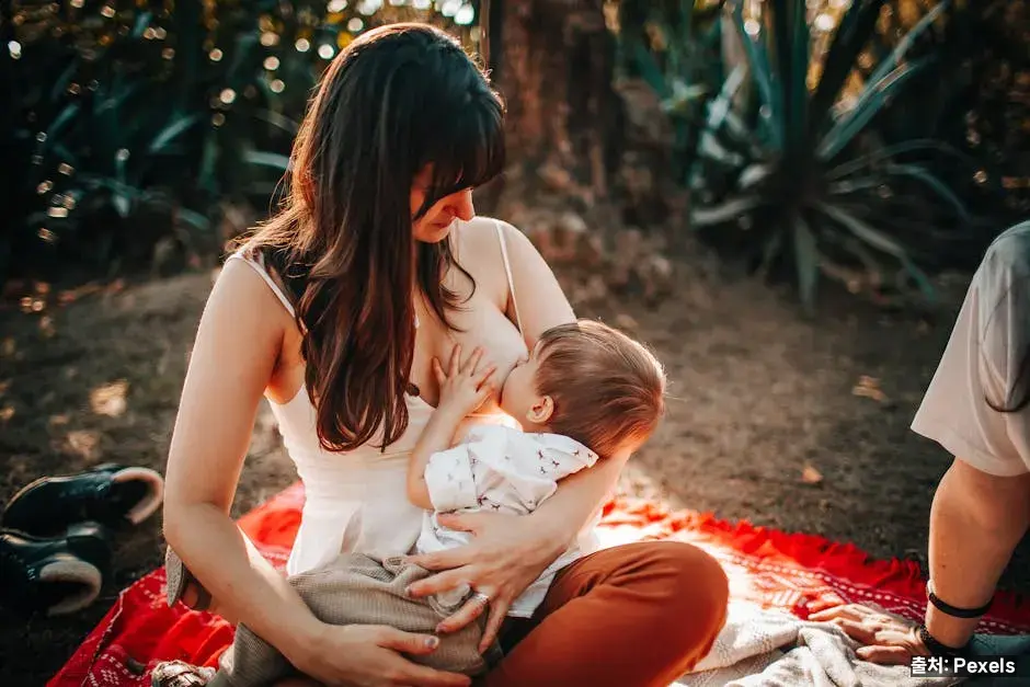 수유 자세와 트림 관련 이미지