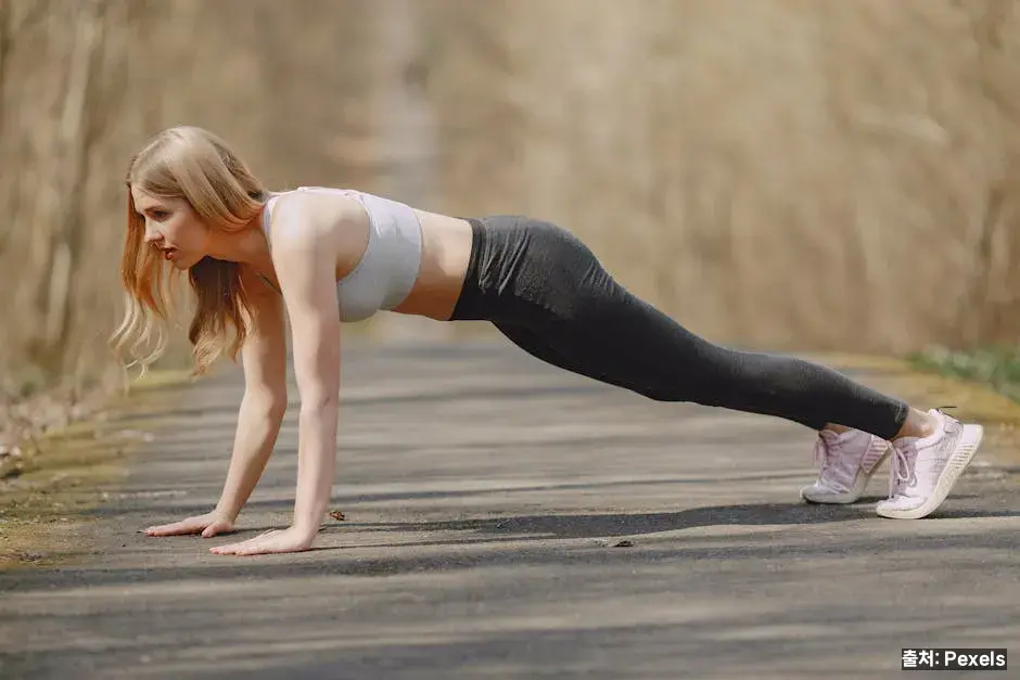 3. 플랭크 (전체 코어) 관련 이미지
