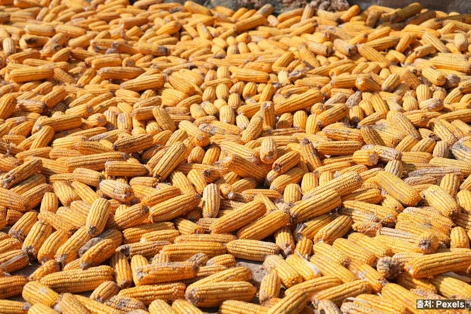 항산화·수분 공급 관련 이미지