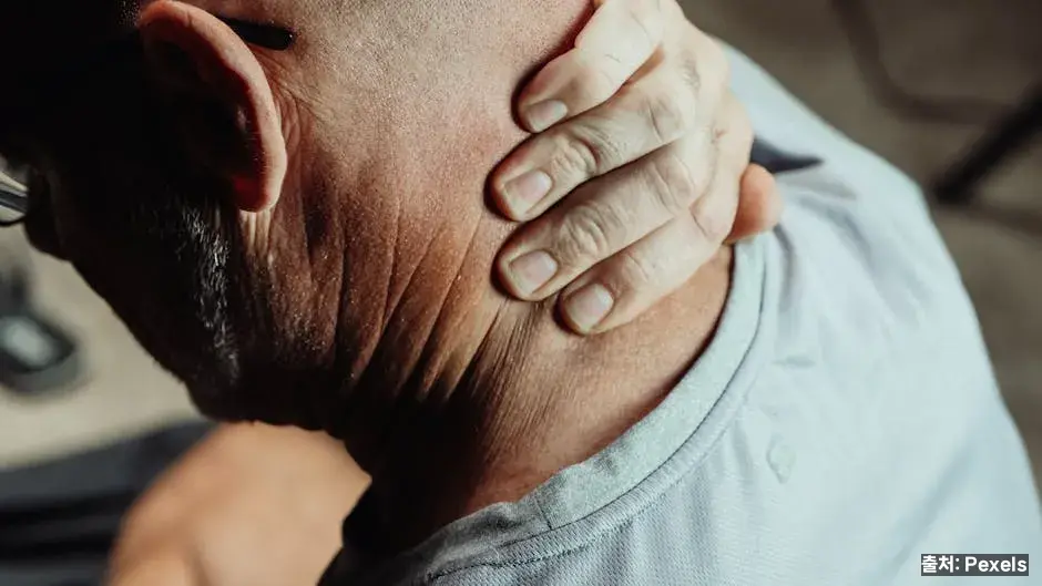 통증 유형별 구분 관련 이미지