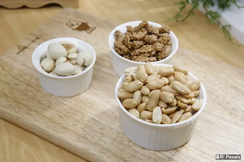 두뇌·기억력과 견과의 차이 관련 이미지