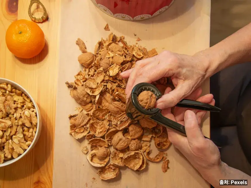 철분 부족을 만드는 5가지 원인 관련 이미지