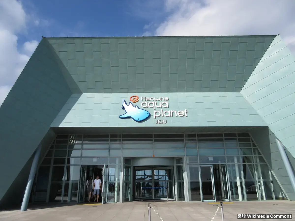 아쿠아플라넷 제주 입구